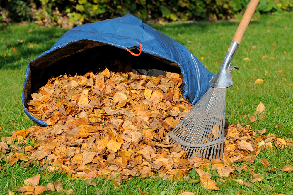 Grounds keeper service in London