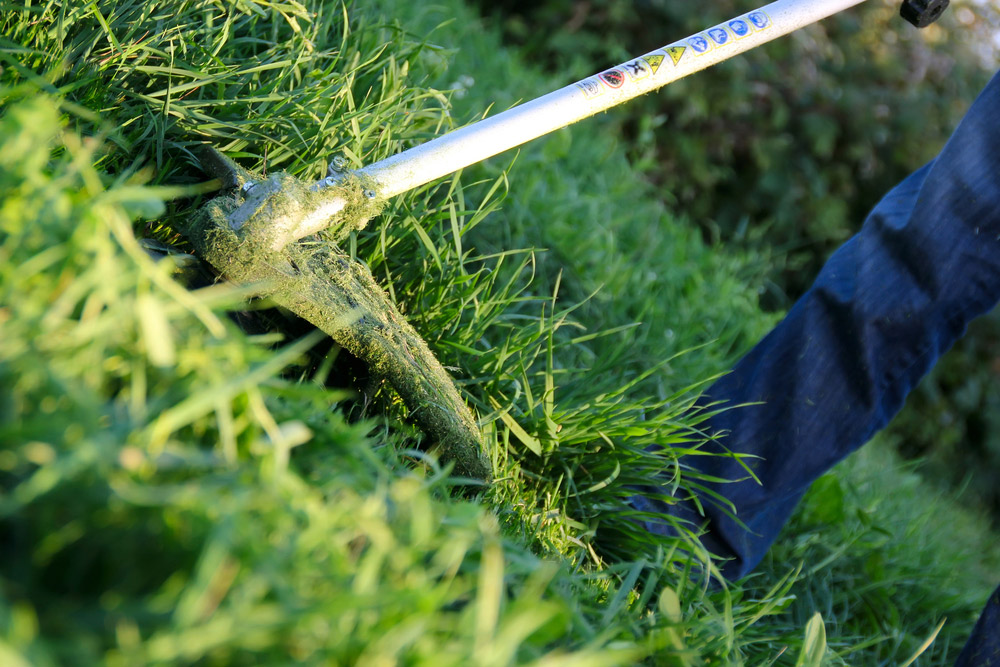 Gardening company in London - Croydon